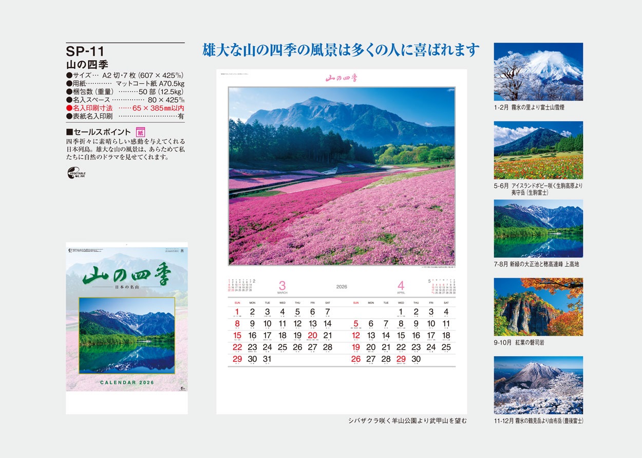 SP-11 ���λ͵�