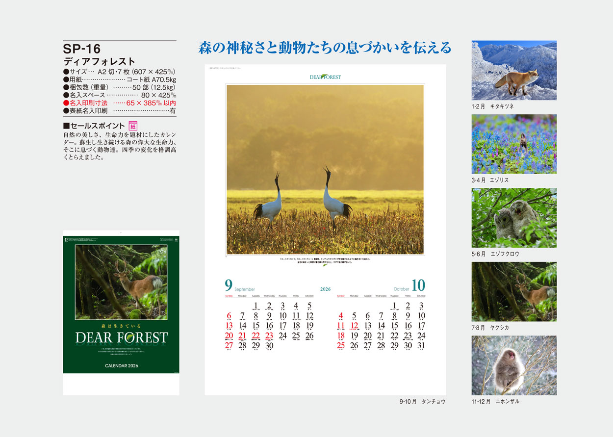 SP-16 �ǥ����ե��쥹��