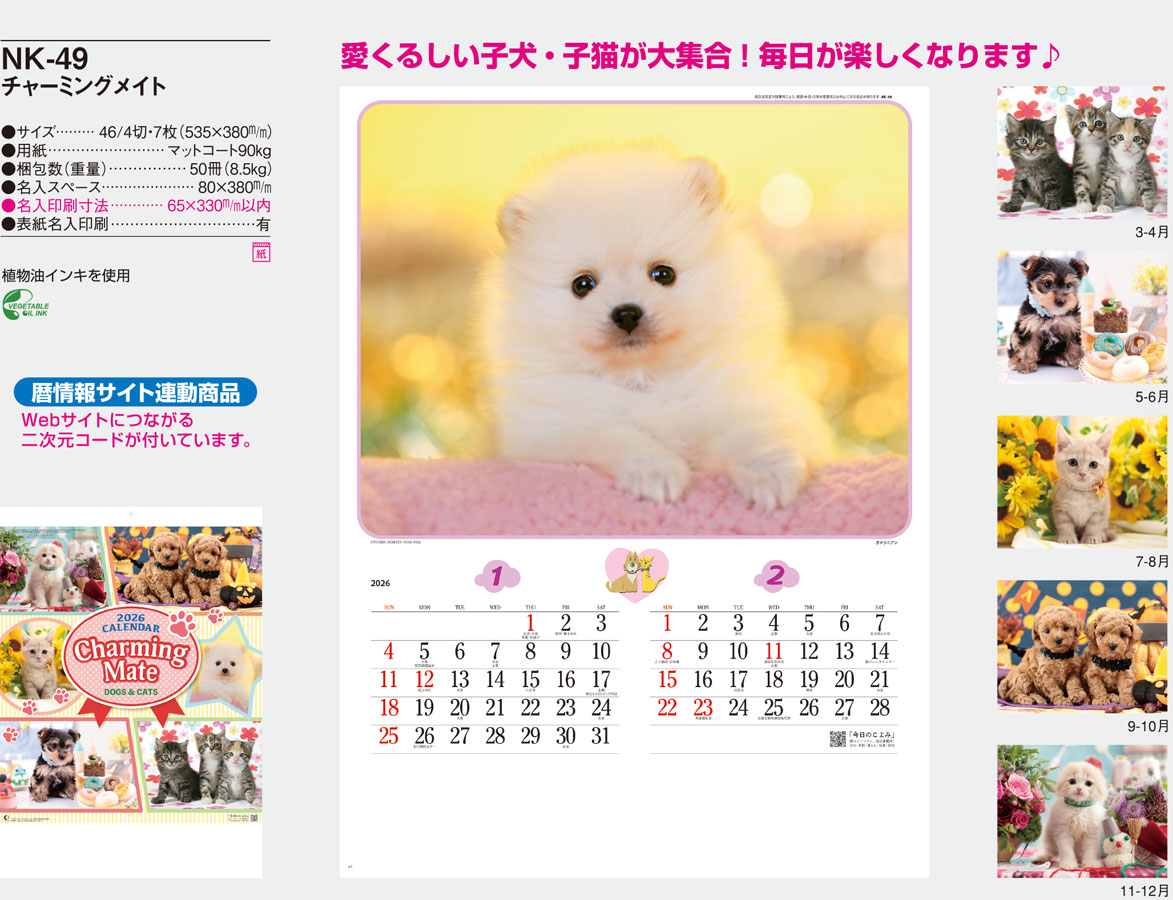 NK-49 ���㡼�ߥ󥰥ᥤ��(AC-4)