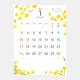 NK-50������ݤ�