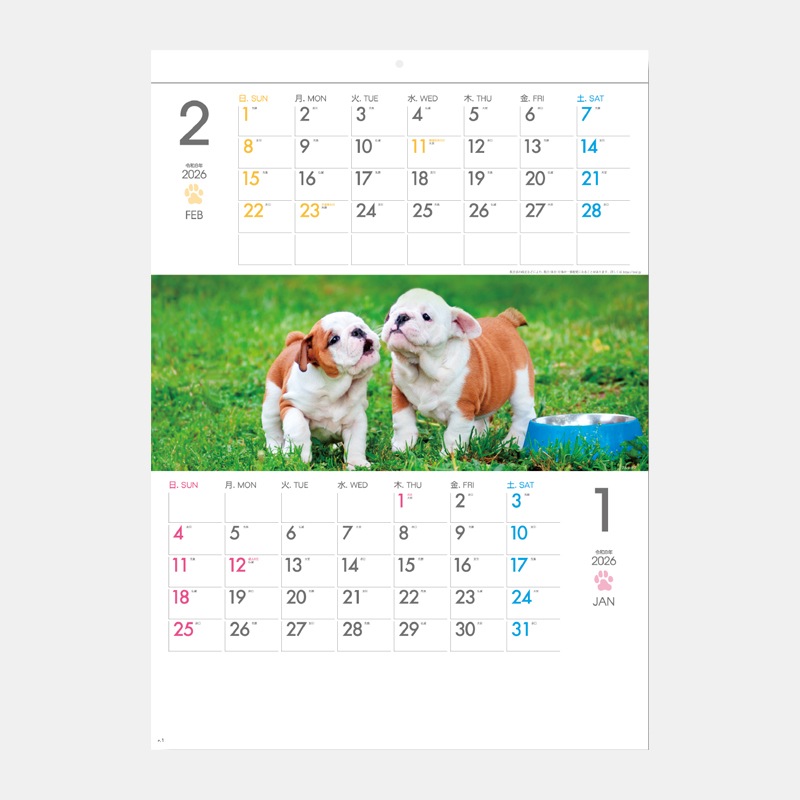 SG-197 THE DOGS���ߥ���������