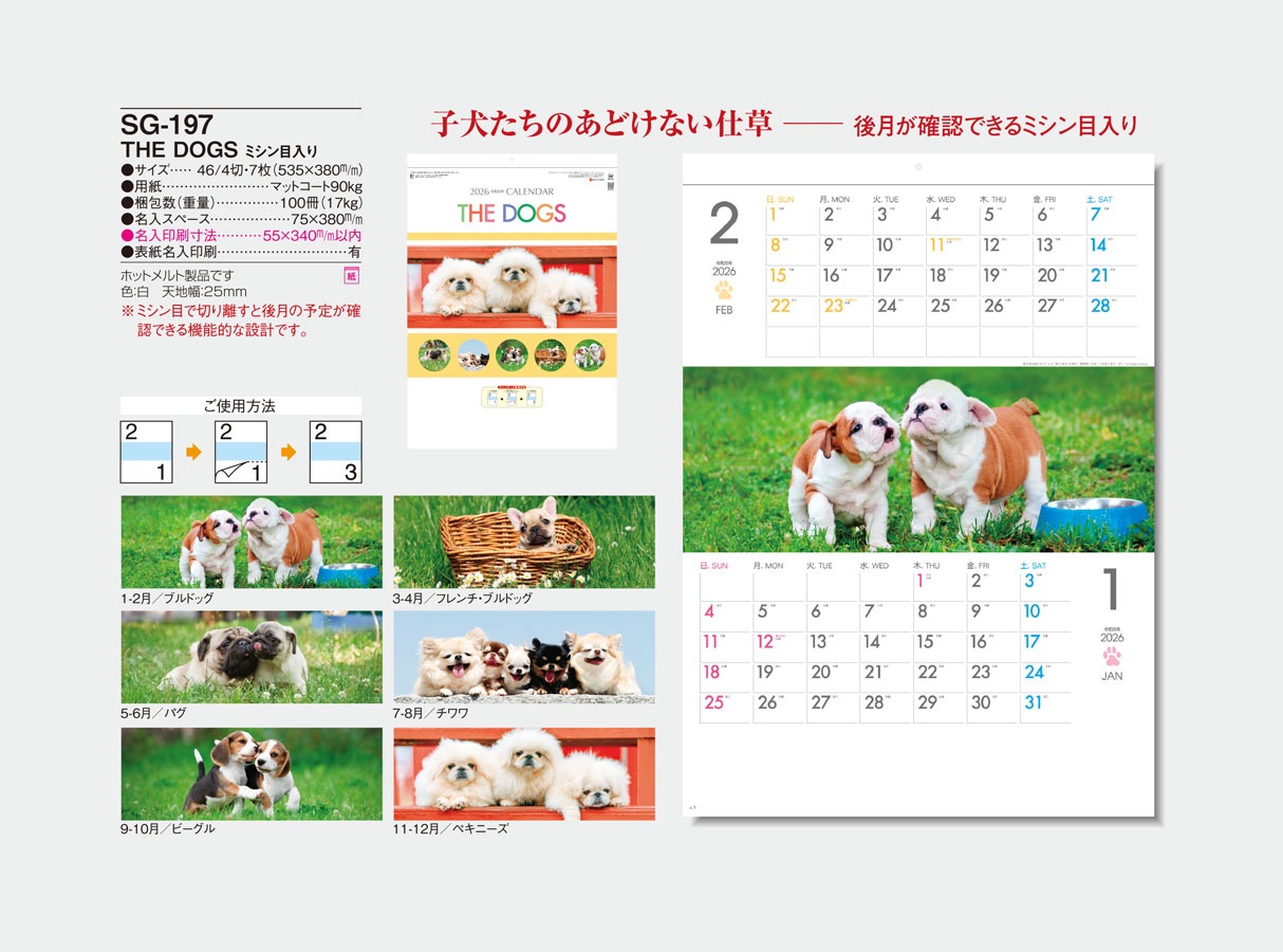 SG-197 THE DOGS���ߥ���������