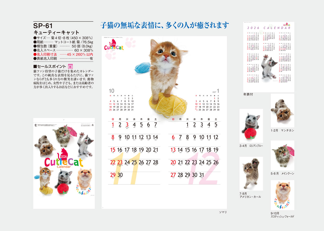 SP-61 ���塼�ƥ�������å�