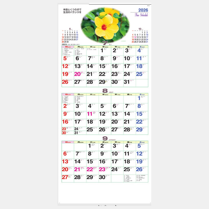 NA-139 �ե����󥹥����塼��