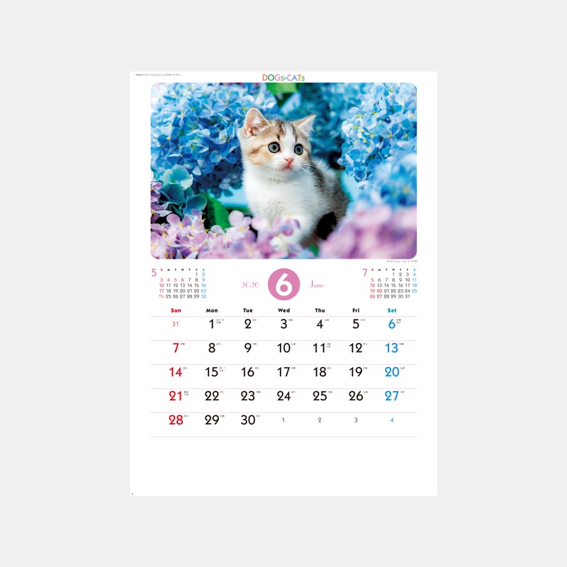 SP-65 ��֥꡼�ɥå�������å�