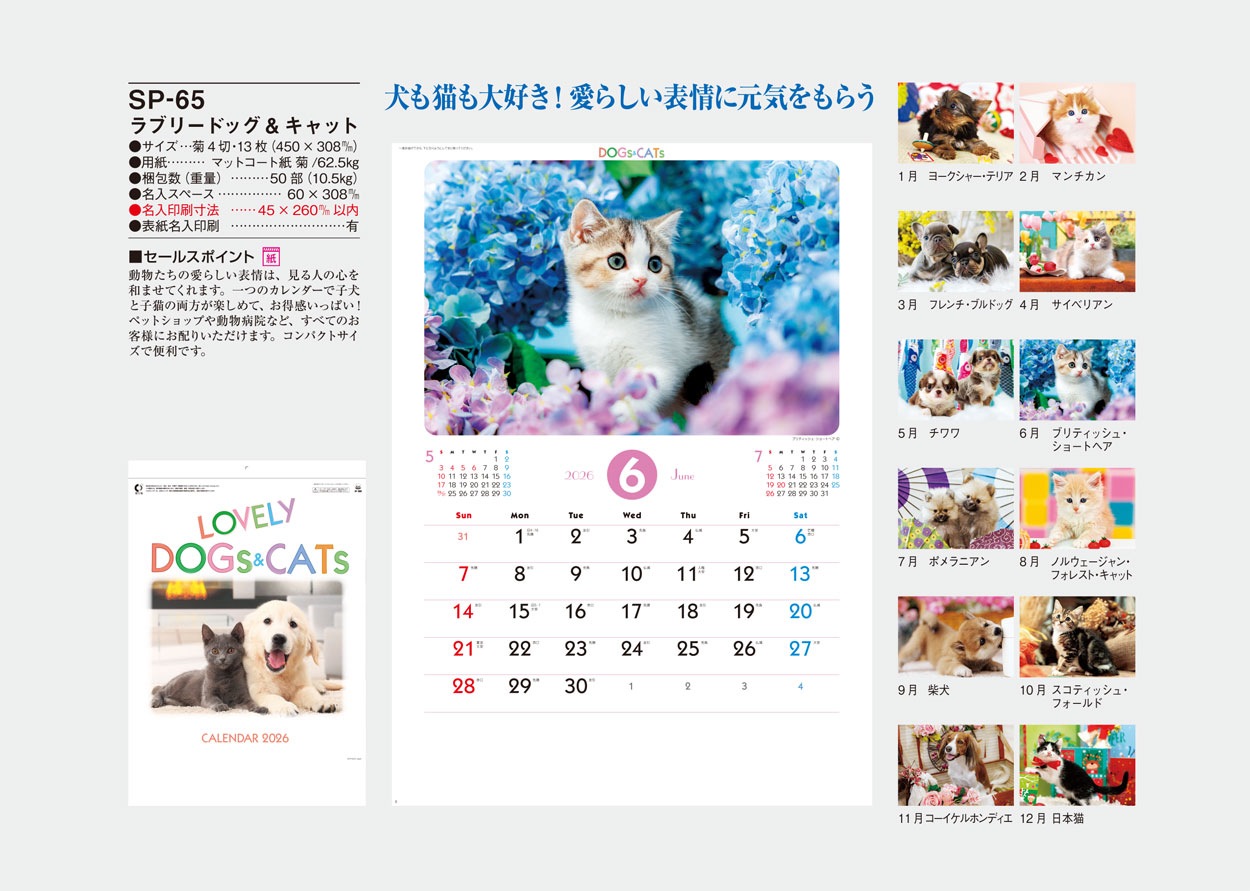 SP-65 ��֥꡼�ɥå�������å�