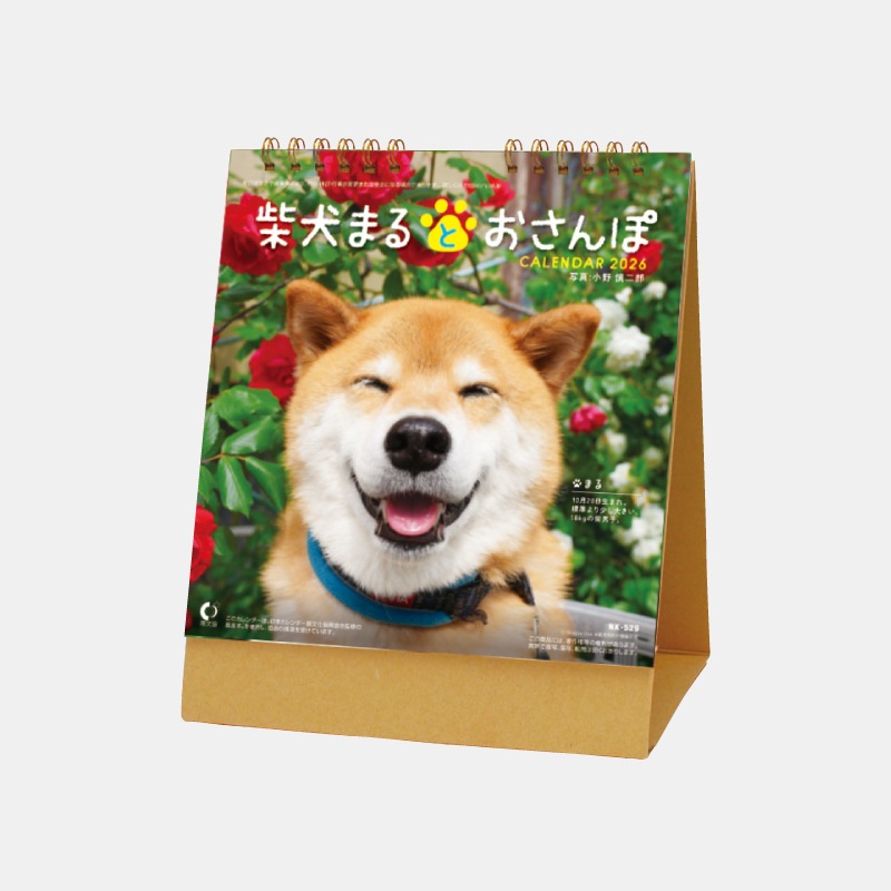 NK-529 ��塡�Ƹ��ޤ�Ȥ������