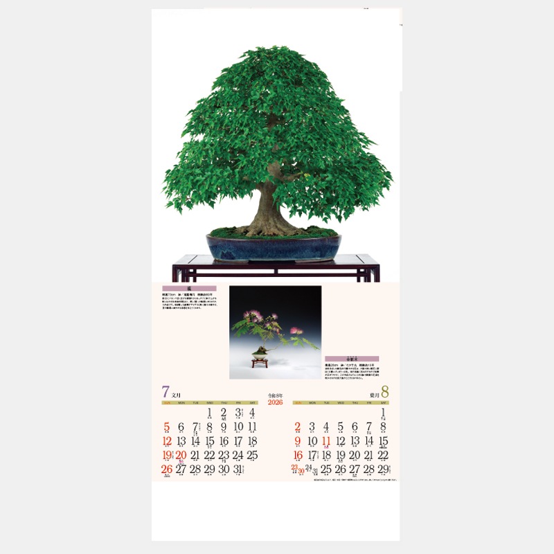 SD-22 �ü������ߺϡ�YK-624��