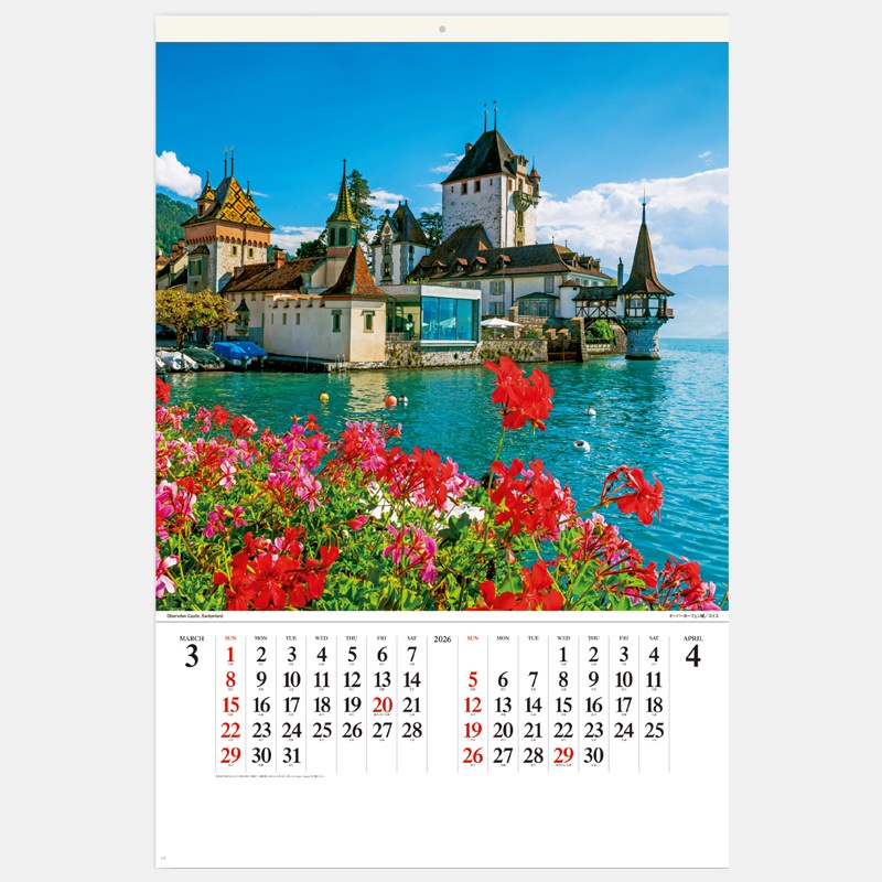 SP-95 �磻�ɥ衼���å�