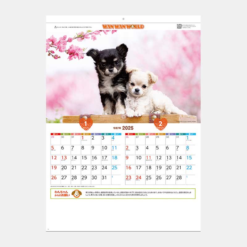 SA-343 �������ɡʸ������