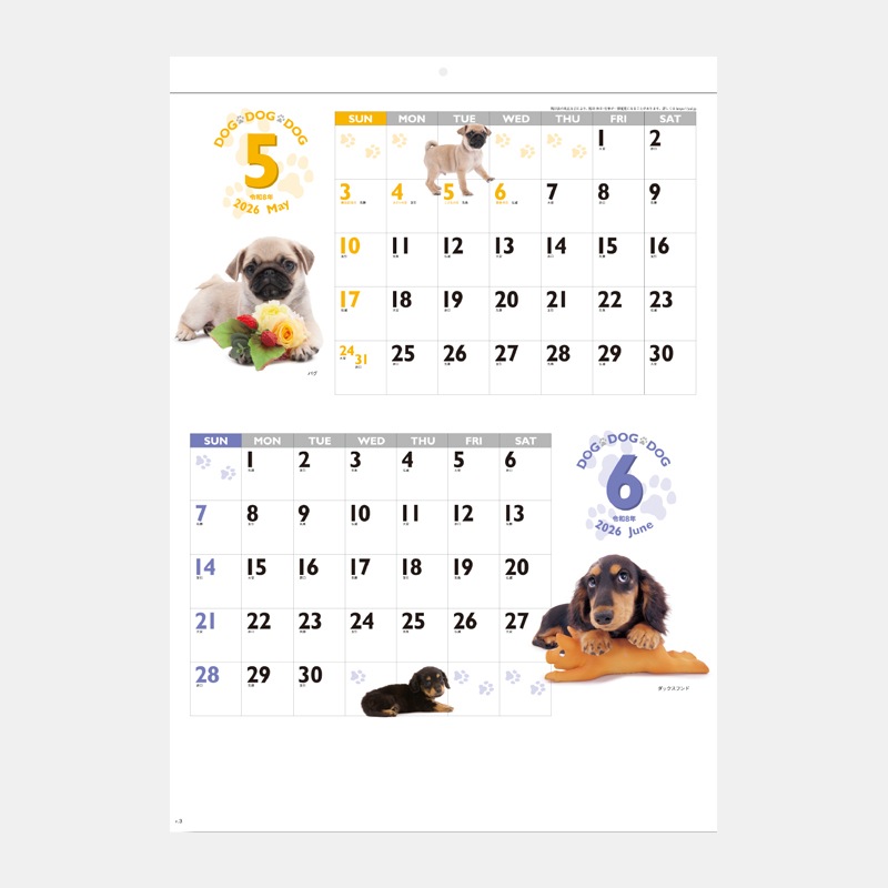 SG-229 ģϣǡģϣǡģϣ