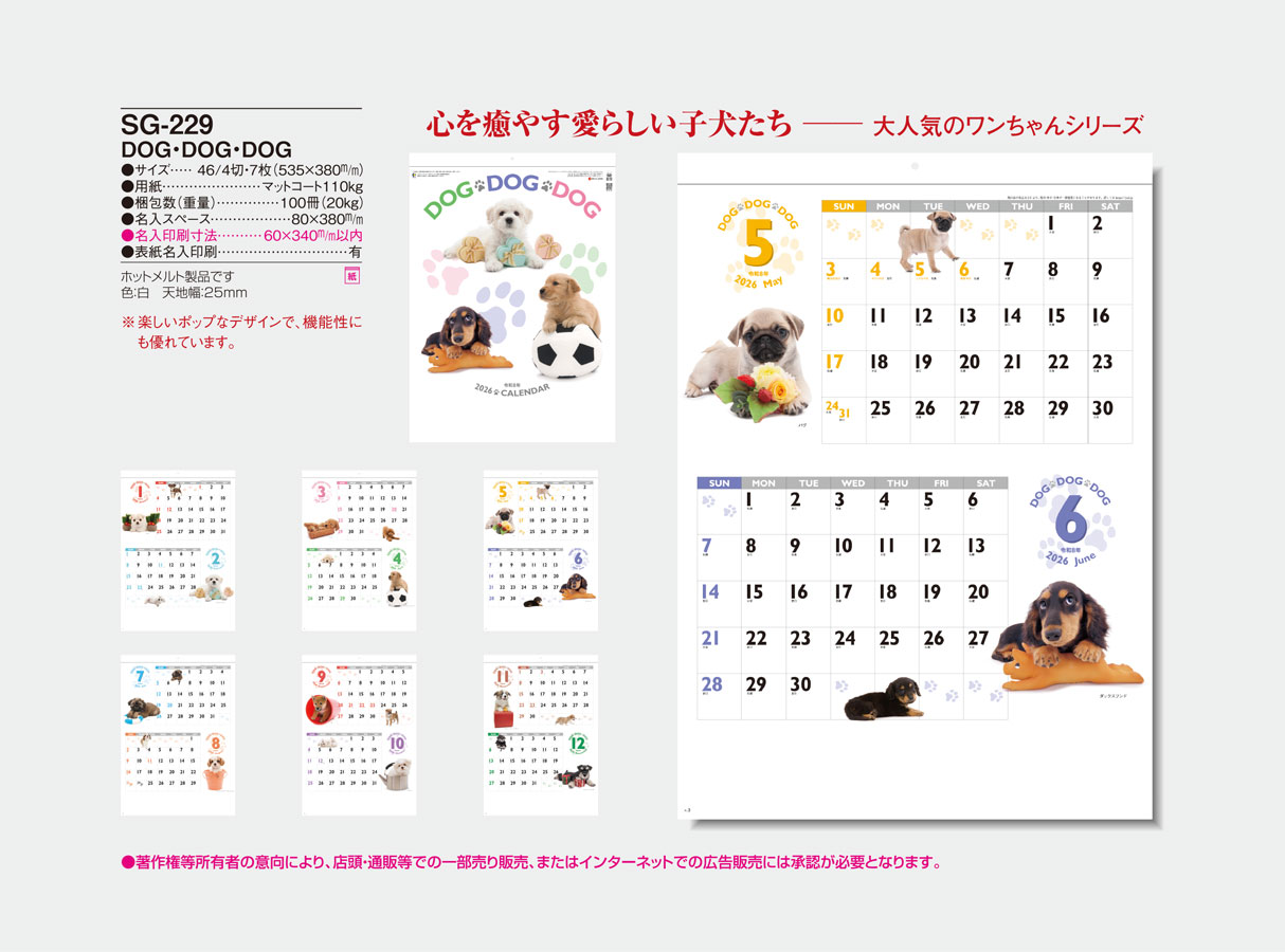 SG-229 ģϣǡģϣǡģϣ