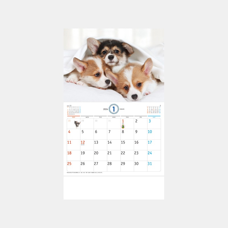 SA-346 �ɥå�������åĥ�������