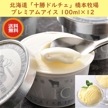 【産直品】北海道「十勝ドルチェ」橋本牧場 プレミアムアイス 100ml × 12   冷凍  メーカー直送