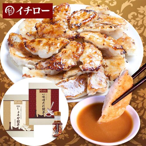 【産直品】神戸「イチロー餃子」神戸名物 味噌だれ餃子2種（計40個）食べ比べセット タレボトル入（化粧箱入）冷凍 ギフト 神戸名物