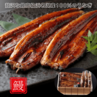 【産直品】浜名湖うなぎ 魚魚一 蒲焼セット（蒲焼き３尾、肝焼き３本）贈答用セット 国産うなぎ 浜松名物　