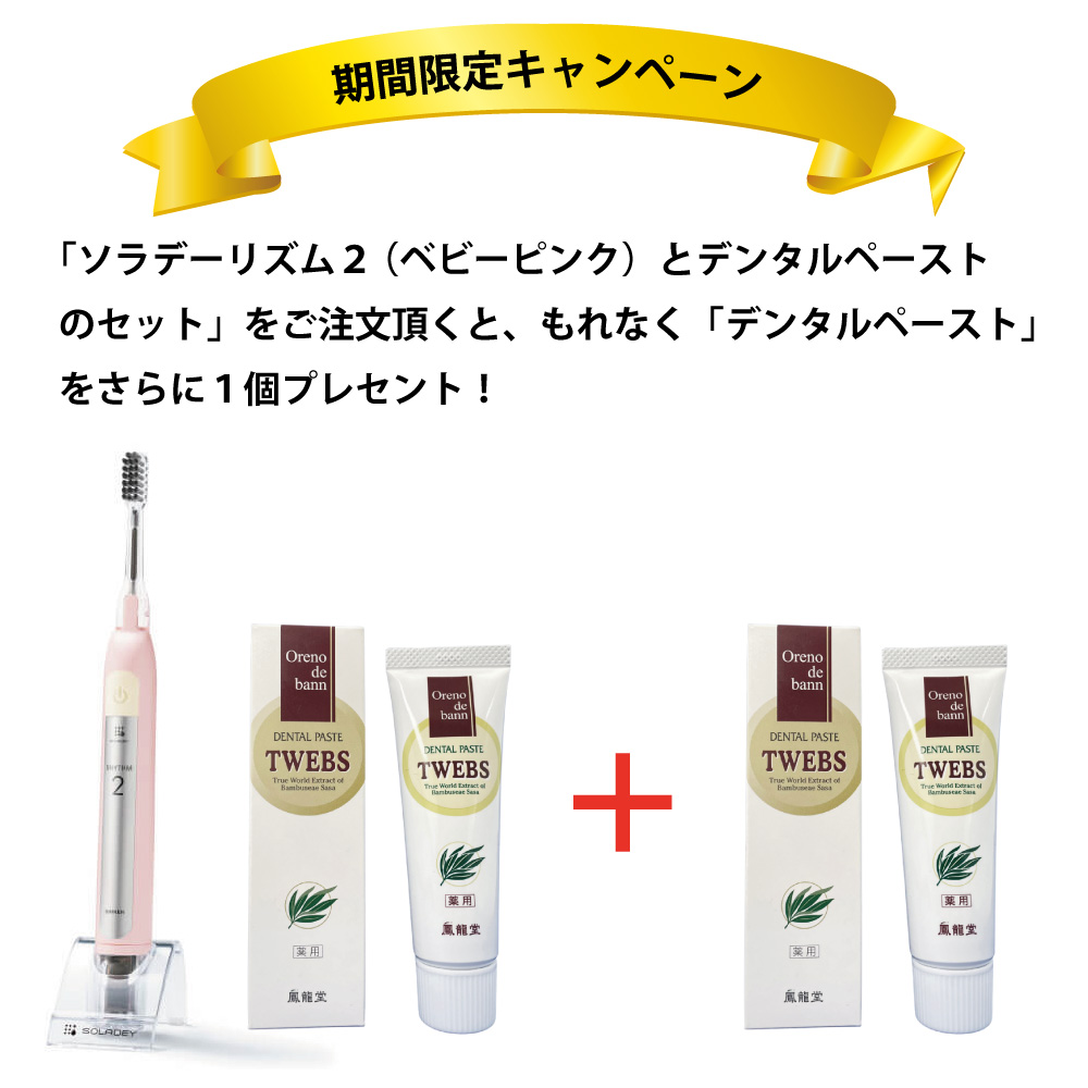 オレノデ・バン デンタルペースト（薬用） TWEBS 40g 2個 ＋ 歯臓