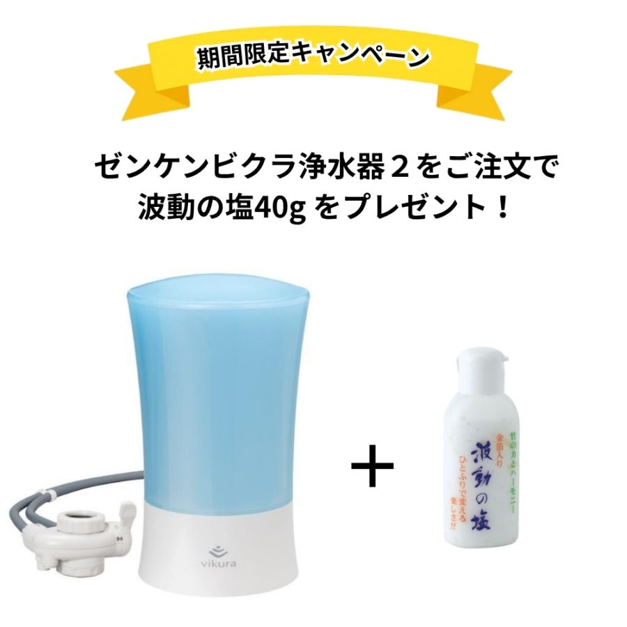 エレン整水器・オンザシンク水素タイプCH-200 交換用カートリッジ 株式