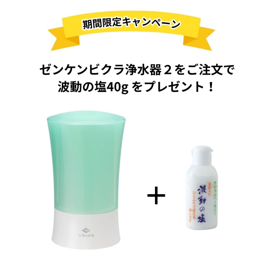 エレン整水器・オンザシンク水素タイプCH-200 交換用カートリッジ 株式