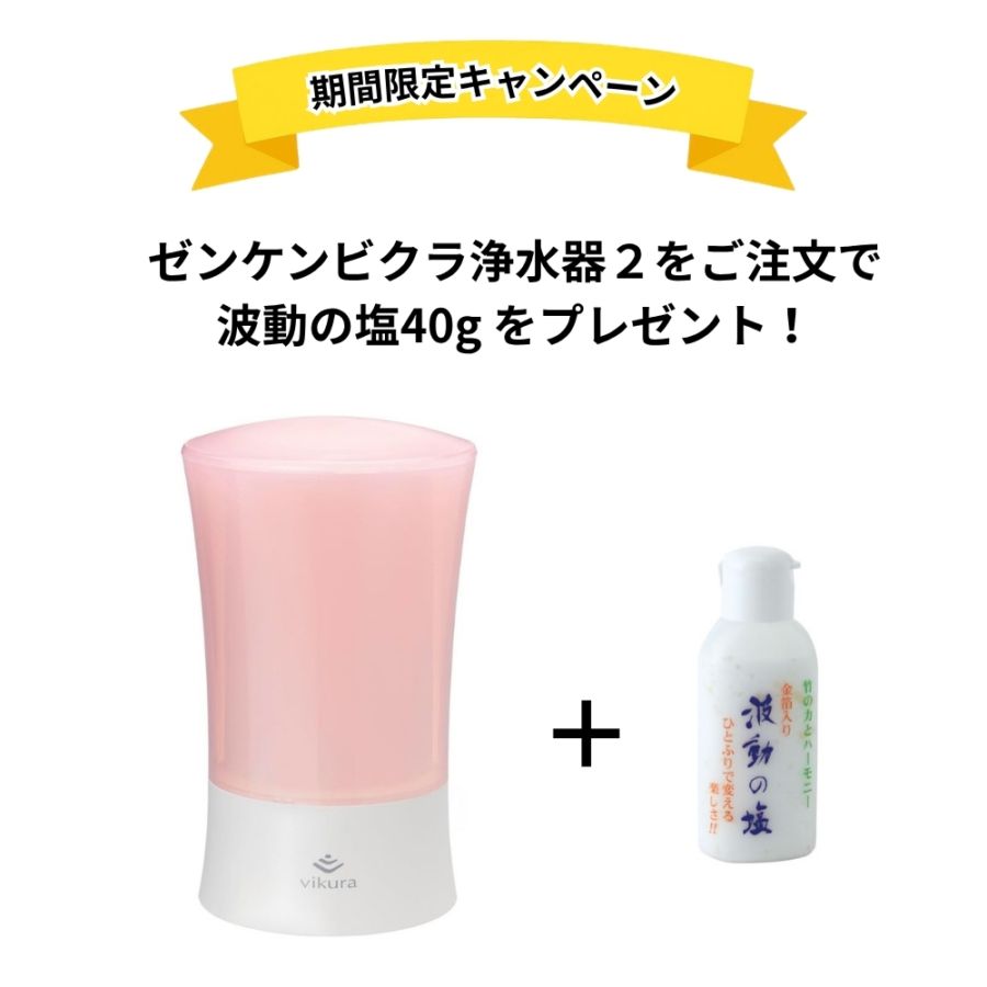 浄水器・整水器 ITONO エレン整水器・オンザシンク水素タイプCH-200 交換用カートリッジ 株式