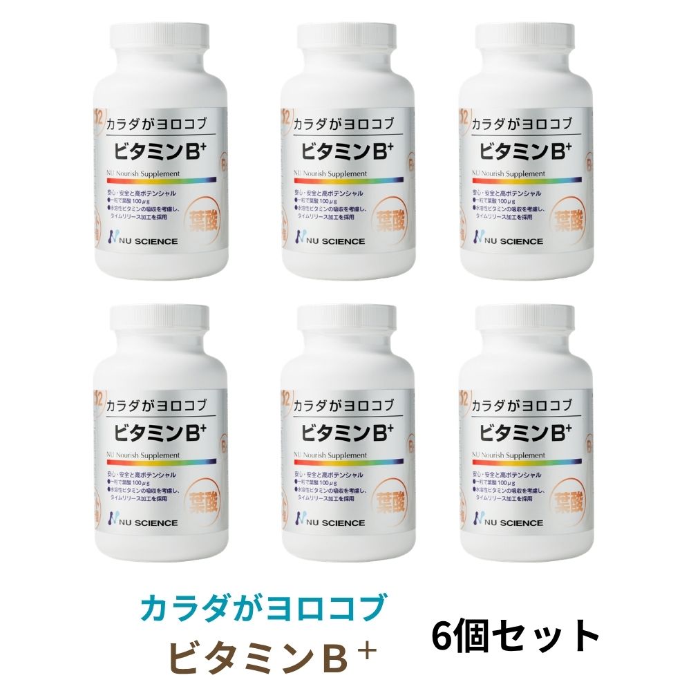 ビタミンB+ 240粒 6個セット ニューサイエンス カラダがヨロコブシリーズ