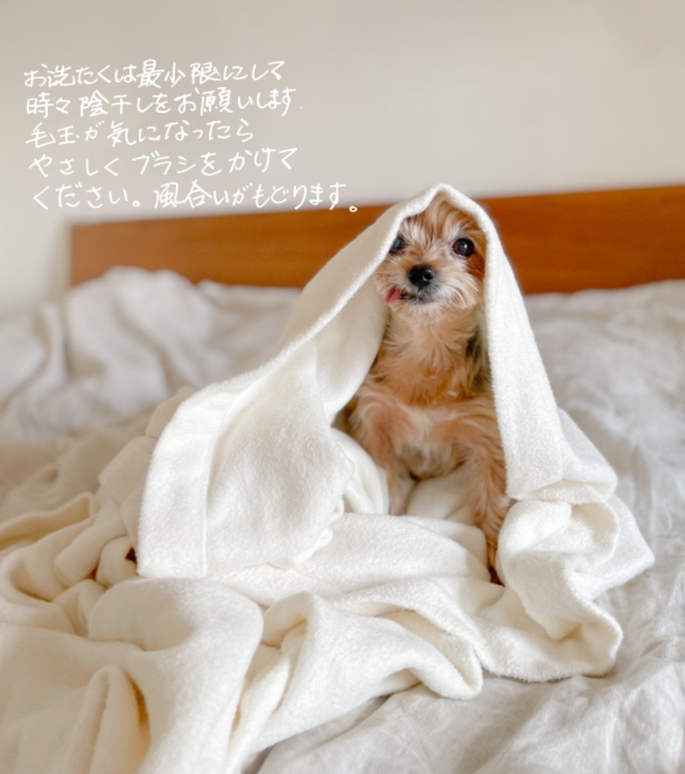 TAKEFU 毛布 Kurumu くるむ(140 x 200cm) / 竹布 ナファ生活研究所