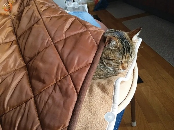 オーラ蓄熱足湯気分キルト 裏フリースタイプ（半身浴サイズ）