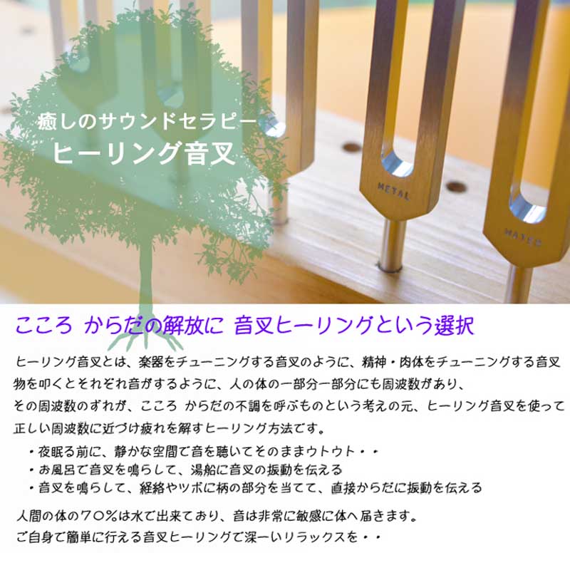 ϥ졼  ե  塼ʡ /3ܥå