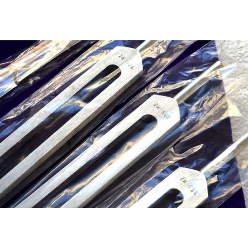 ϥ졼  ե  塼ʡ /3ܥå