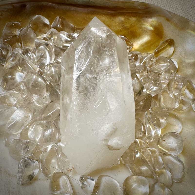 �����������ɥ������ĥݥ���ȡʥ��󥶥˥�����03