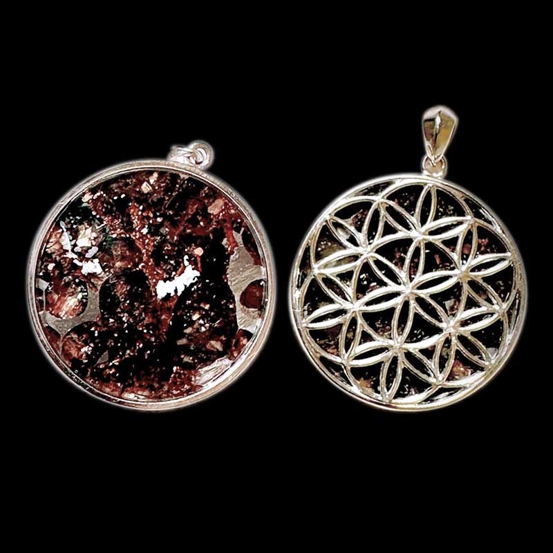 ڥѥ饵Сե֥饤եڥTOP