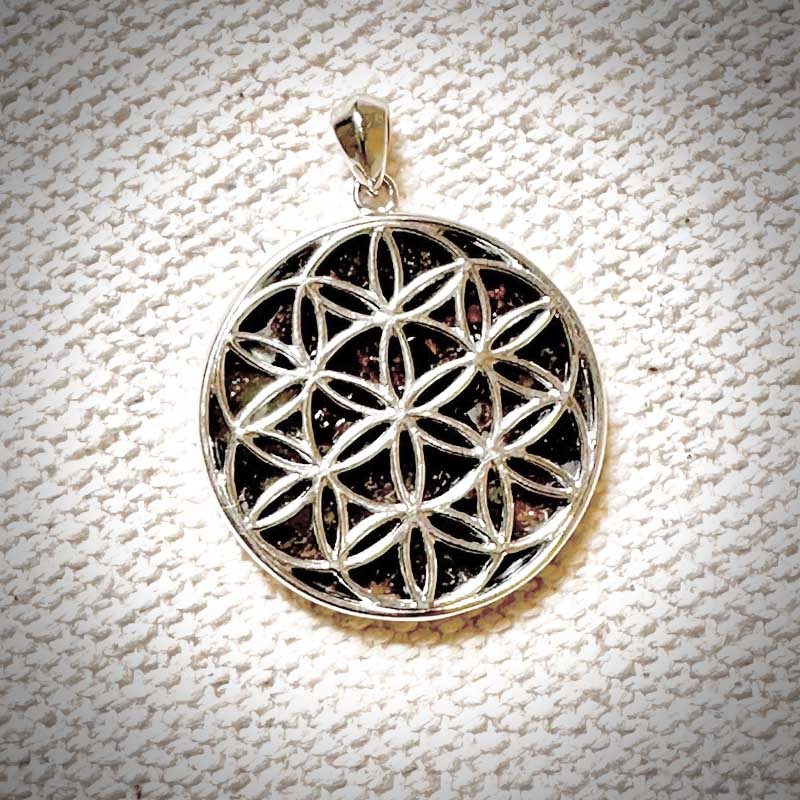 ڥѥ饵Сե֥饤եڥTOP