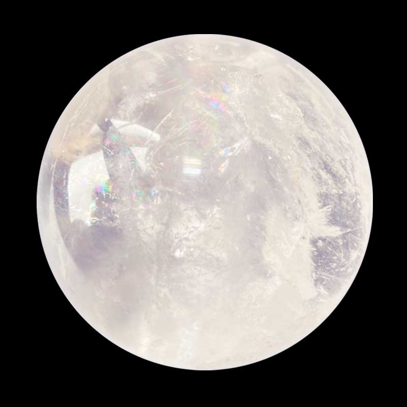 �֥饸�롦�ߥʥ������饤������ŷ���ݿ徽(510g)017