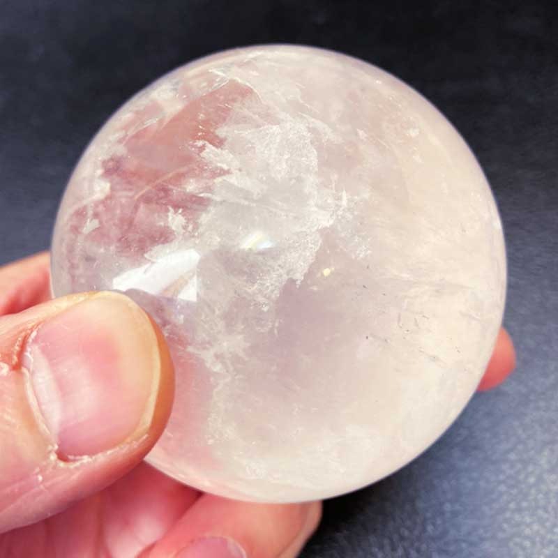 �֥饸�롦�ߥʥ������饤������ŷ���ݿ徽(510g)017