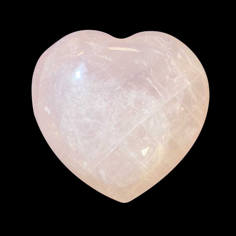 �ϡ��ȥ��ȡ��󡡥�������������