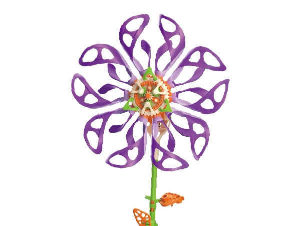 カレイドフラワー（JS-6218）