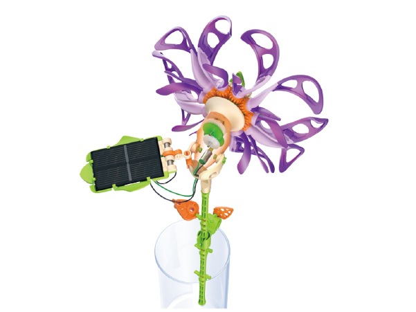 カレイドフラワー（JS-6218）