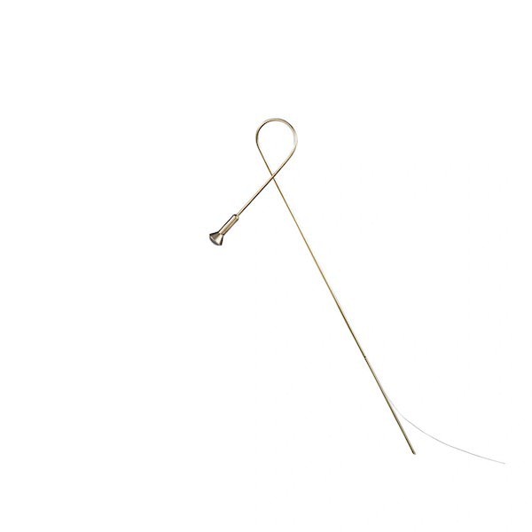 【Catellani & Smith】 イタリア・LEDインテリア照明「Syphaduepassi」1灯 ブラス (H450mm)