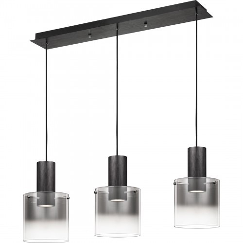 【QUOIZEL】アメリカ・デザイン照明 ガラスシェードLED ペンダントライト 3灯「Kilmer」ブラック（W1000×D200×H340mm）