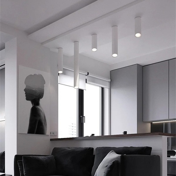 NIIYOCA スポットライト 10W 5000K ホワイト モダン 23個 NIIYOCA スポットライト 10W 5000K ホワイト モダン 23個