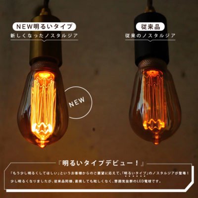 国内メーカー】【LED電球】「明るいタイプ」エジソンバルブLED E26