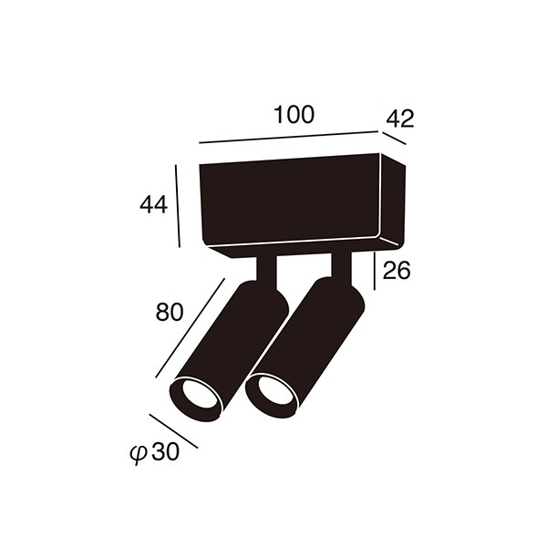 グリッドスリム2ダクトダウンライト「Grid slim 2-duct down light」2灯・ブラック/ホワイト(φ30×D80mm)
