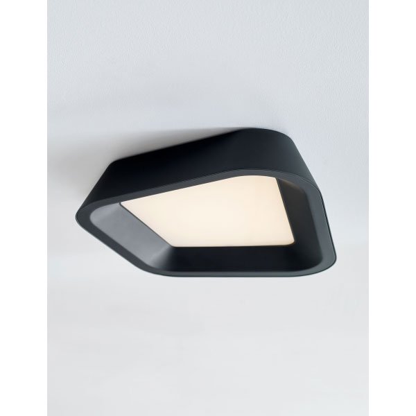 【TECH LIGHTING】アメリカ・シーリングライト「RHONAN」1灯Nightshade Black（W360×L330×H80mm）