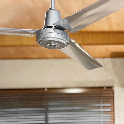 モニカ　シーリングファン ONLINE限定】MONICA CEILING FAN BRASS モニカ シーリングファン ブラス