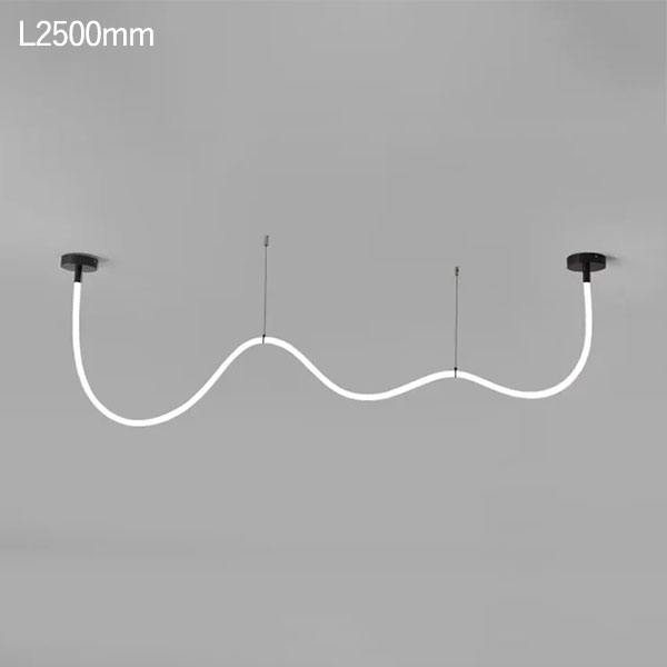 LEDロープデザイン照明 ペンダントライト ブラック(W1500~3500mm)
