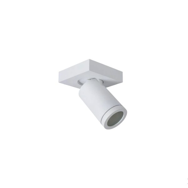 【LUCIDE】ベルギー バスルームシーリングスポットライト「TAYLOR」White 1灯(W100×D100×H123mm)
