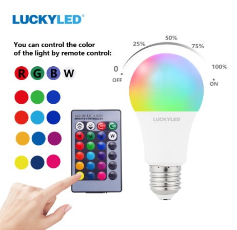 【Luckyled】 【LED電球】エジソンバルブLED (赤外線リモコン電球)（5W）※調光対応