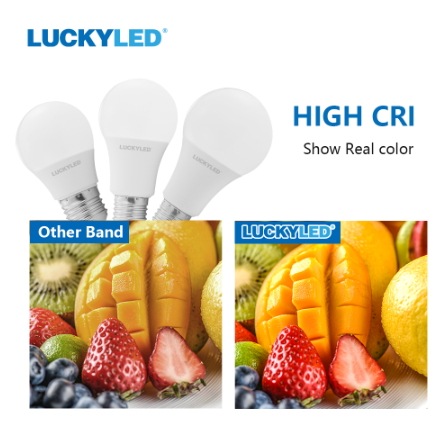 【Luckyled】 【LED電球】エジソンバルブLED (赤外線リモコン電球)（5W）※調光対応