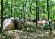舞鳥祭 2026【BUSH CRAFT FIELD】