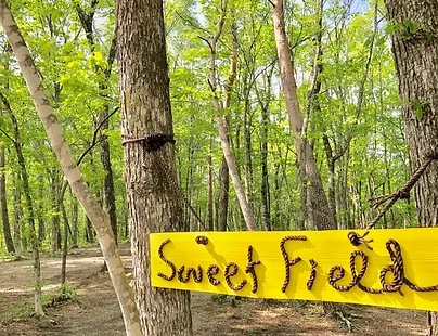 舞鳥祭2026【SWEET FIELD】